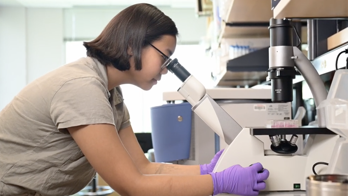 Ashley Chang using a microscope.